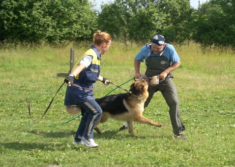 Training in Estonia 6/2007